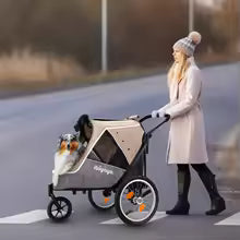 LuxeRide Pet Luxury Stroller