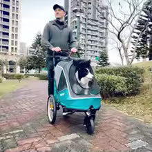 LuxeRide Pet Luxury Stroller
