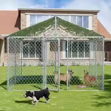 The GrandPaw Luxury Outdoor Dog Kennel